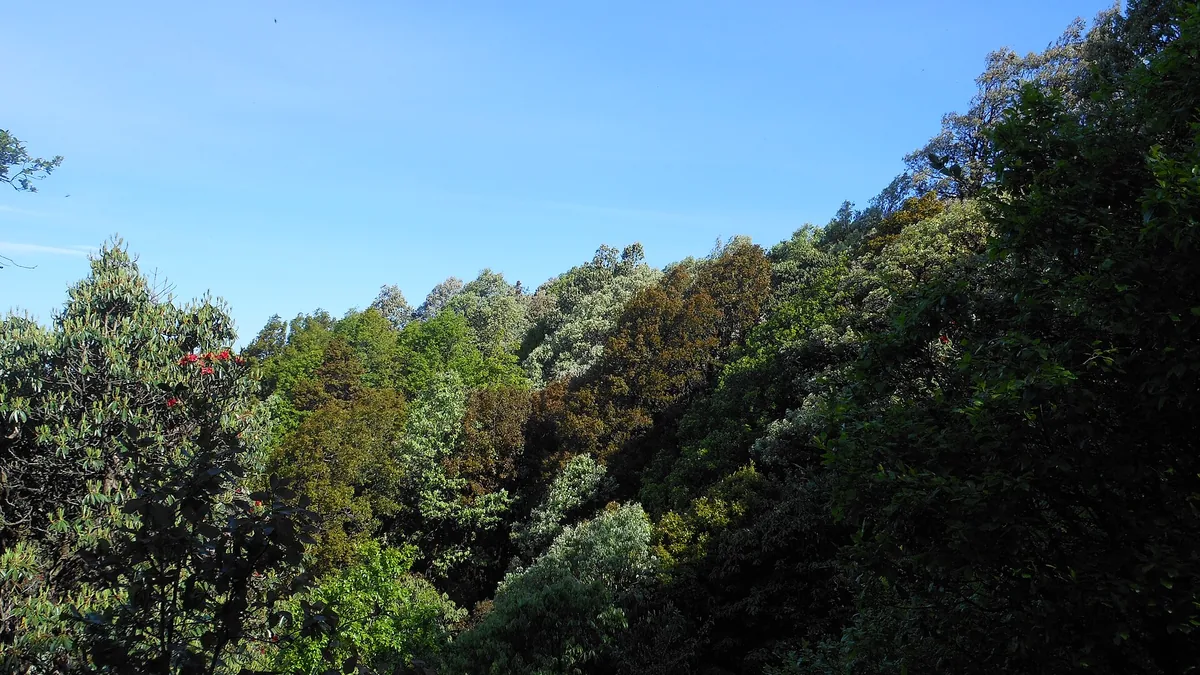 Binsar Wildlife Sanctuary & Panoramic Himalayan Snow Peaks in Binsar, Uttarakhand – Delhi to Binsar Urbania on rent for family & group tours